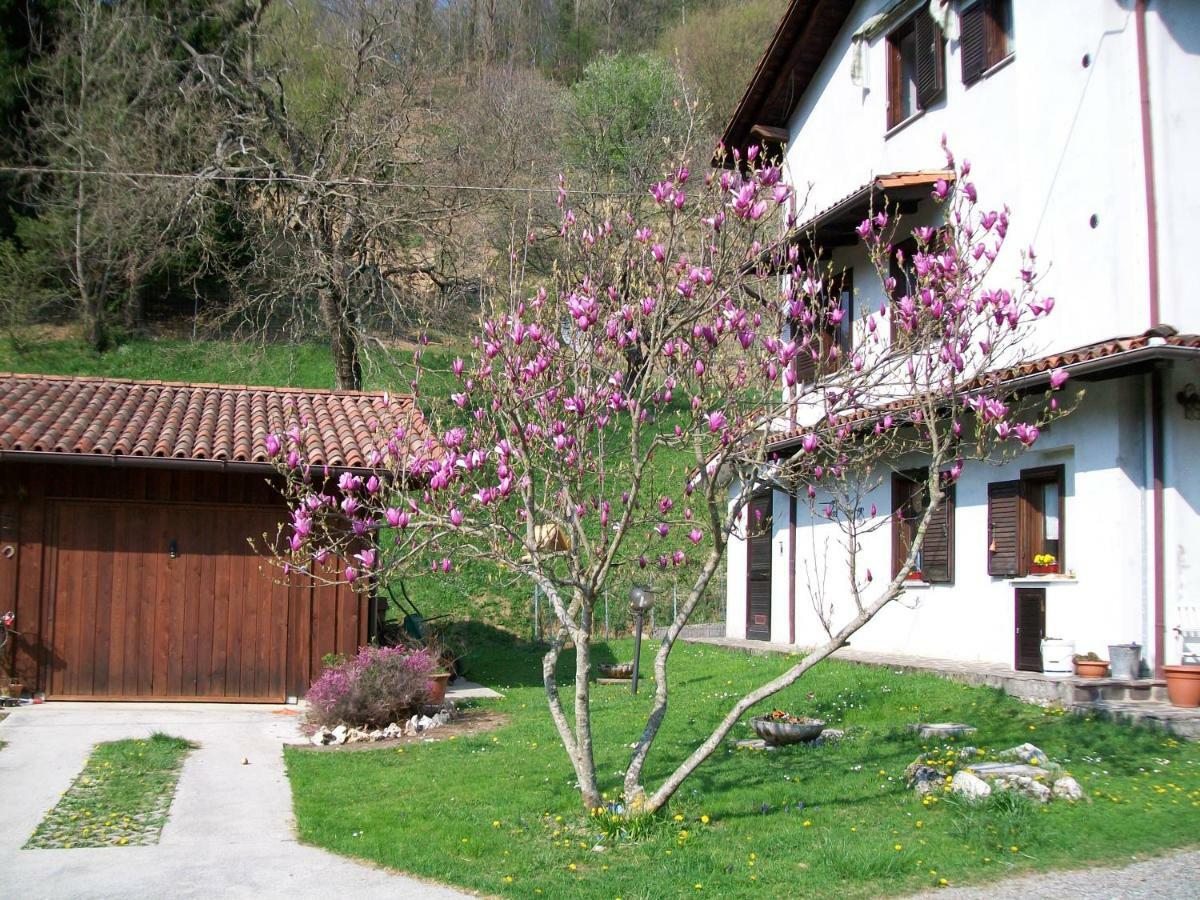 B&B In Fattoria Frisanco Ngoại thất bức ảnh