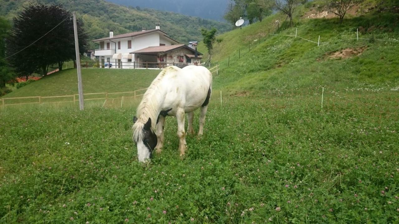 B&B In Fattoria Frisanco Ngoại thất bức ảnh