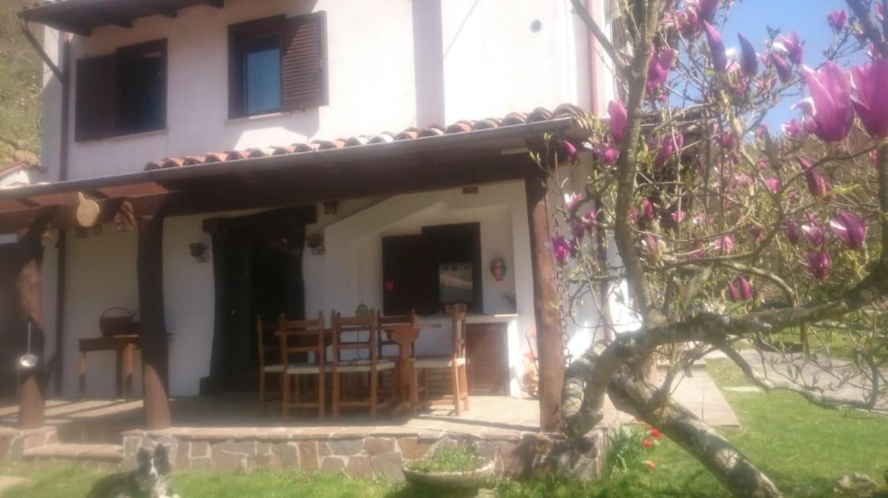 B&B In Fattoria Frisanco Ngoại thất bức ảnh